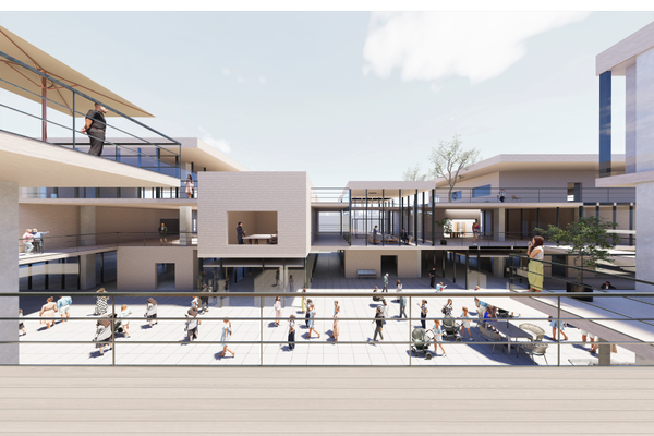 Thesis Project