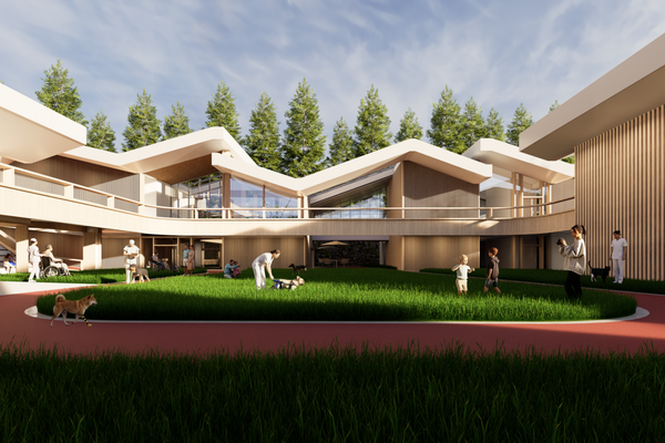 Thesis Project