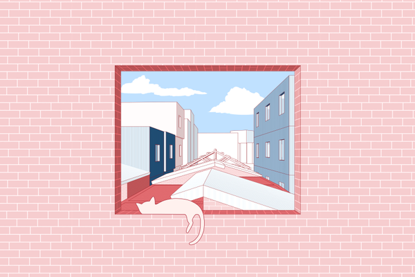 Thesis Project